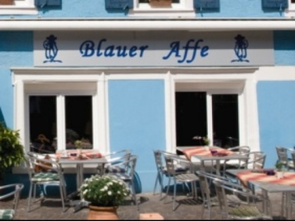 Foto: Blauer Affe